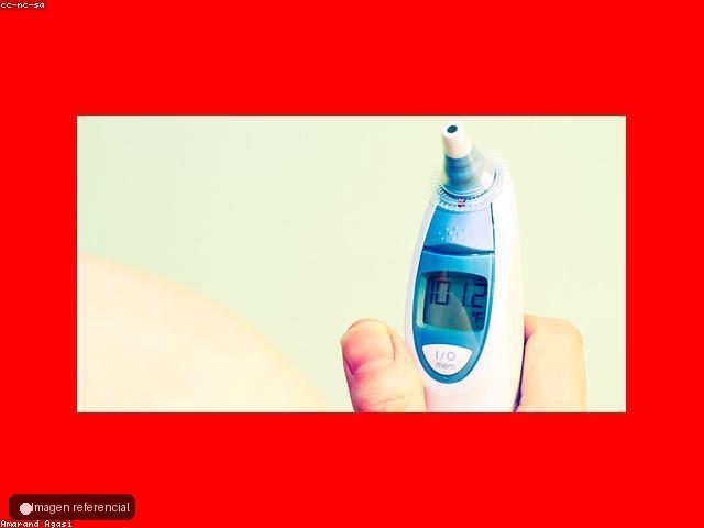 Termometro digital