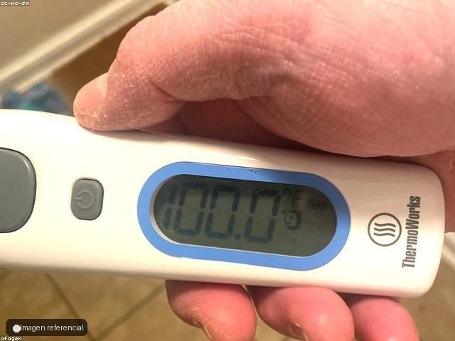 Termometro digital